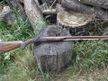 ESR 54Cal.